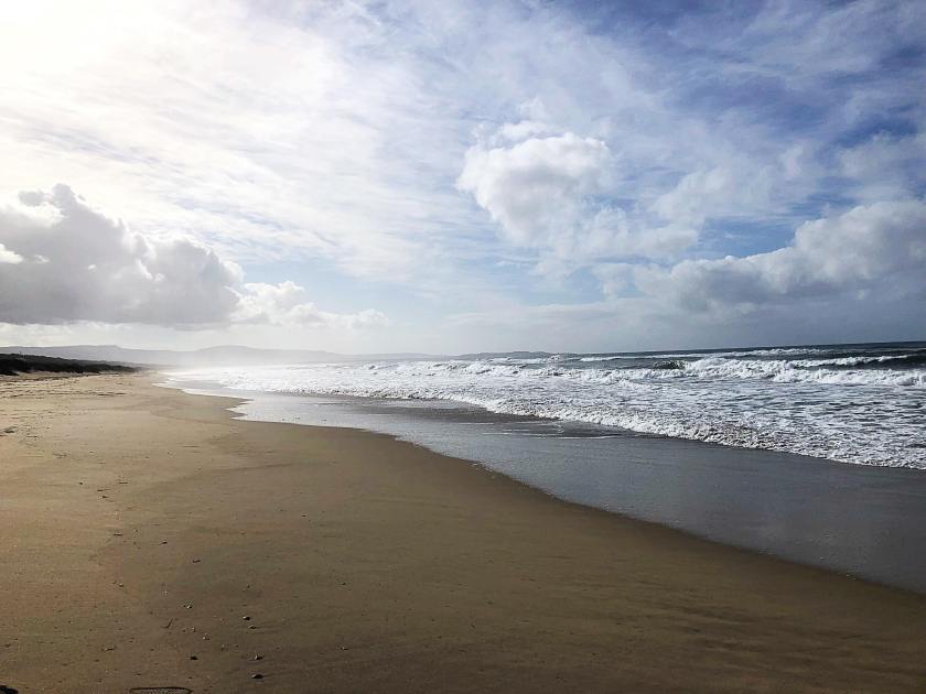 35629312_10155621225362006_9105854146723971072_n