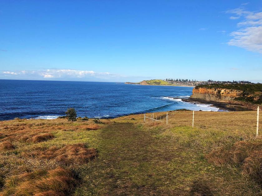 36258395_10155636592827006_2341622504855961600_n