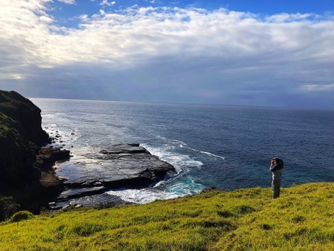 36327701_10155636591442006_3370140453532860416_n