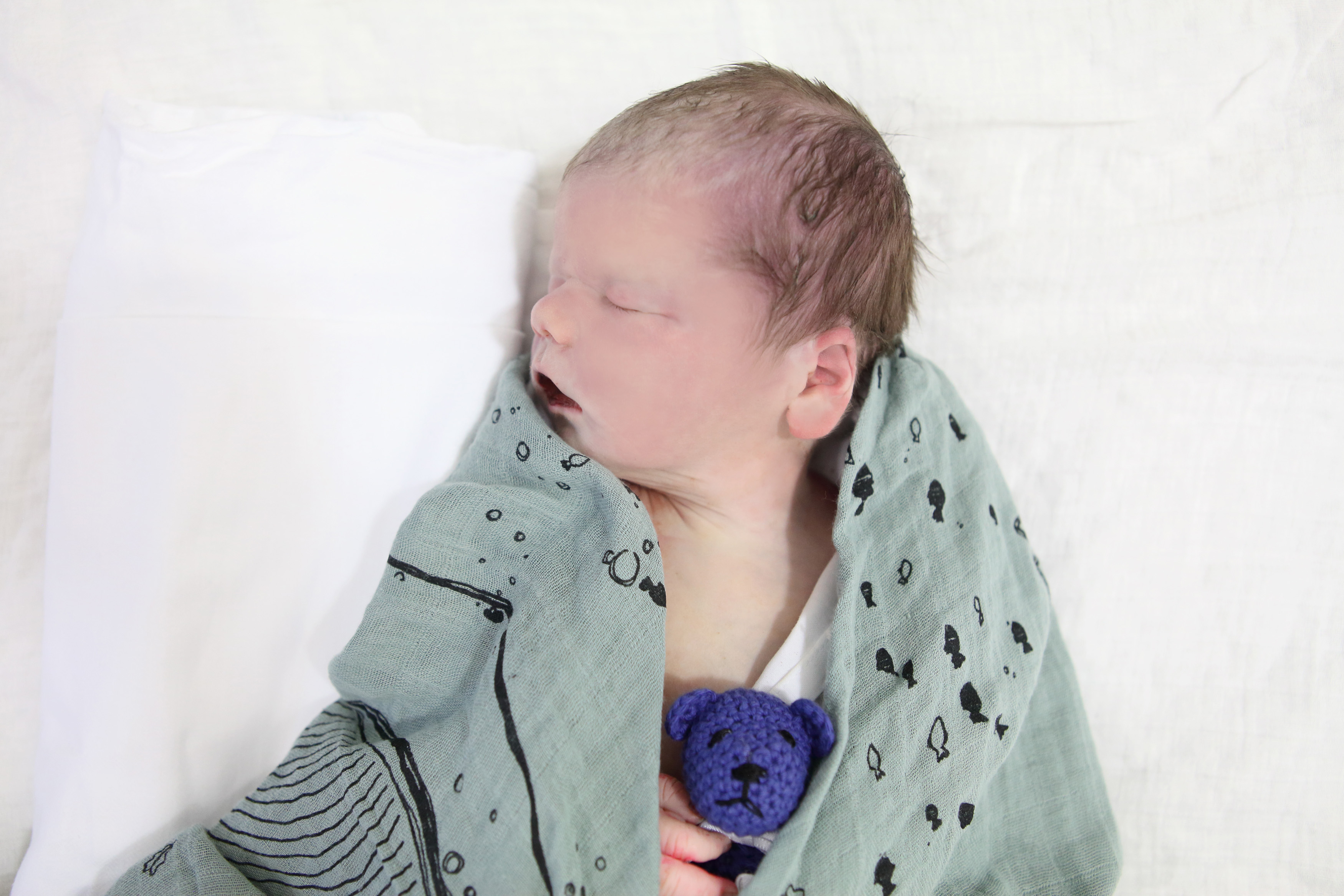 P_180426_RRayner_Henry_ (75)