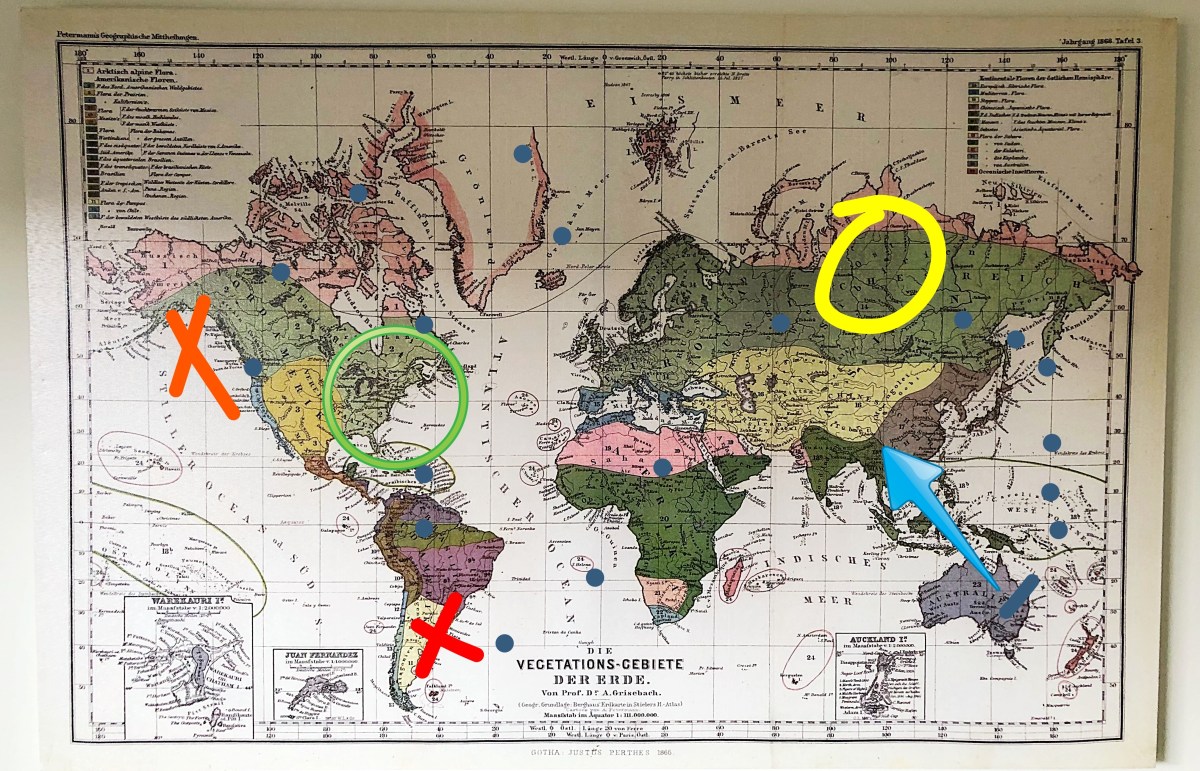 Can someone give me&nbsp;directions?