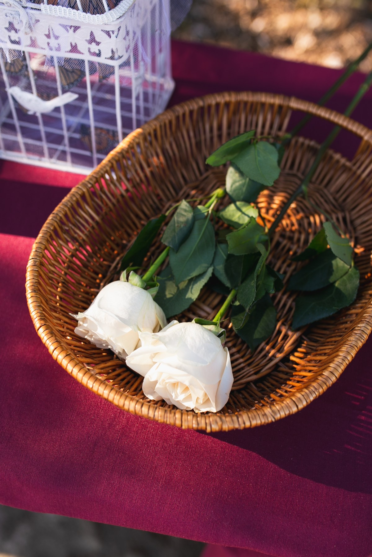 Petals in the ocean… instead of your footprints in the&nbsp;sand.