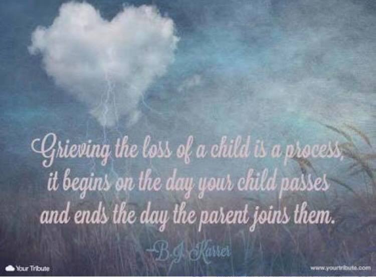 41169112_542507492867899_5491473497366462464_n