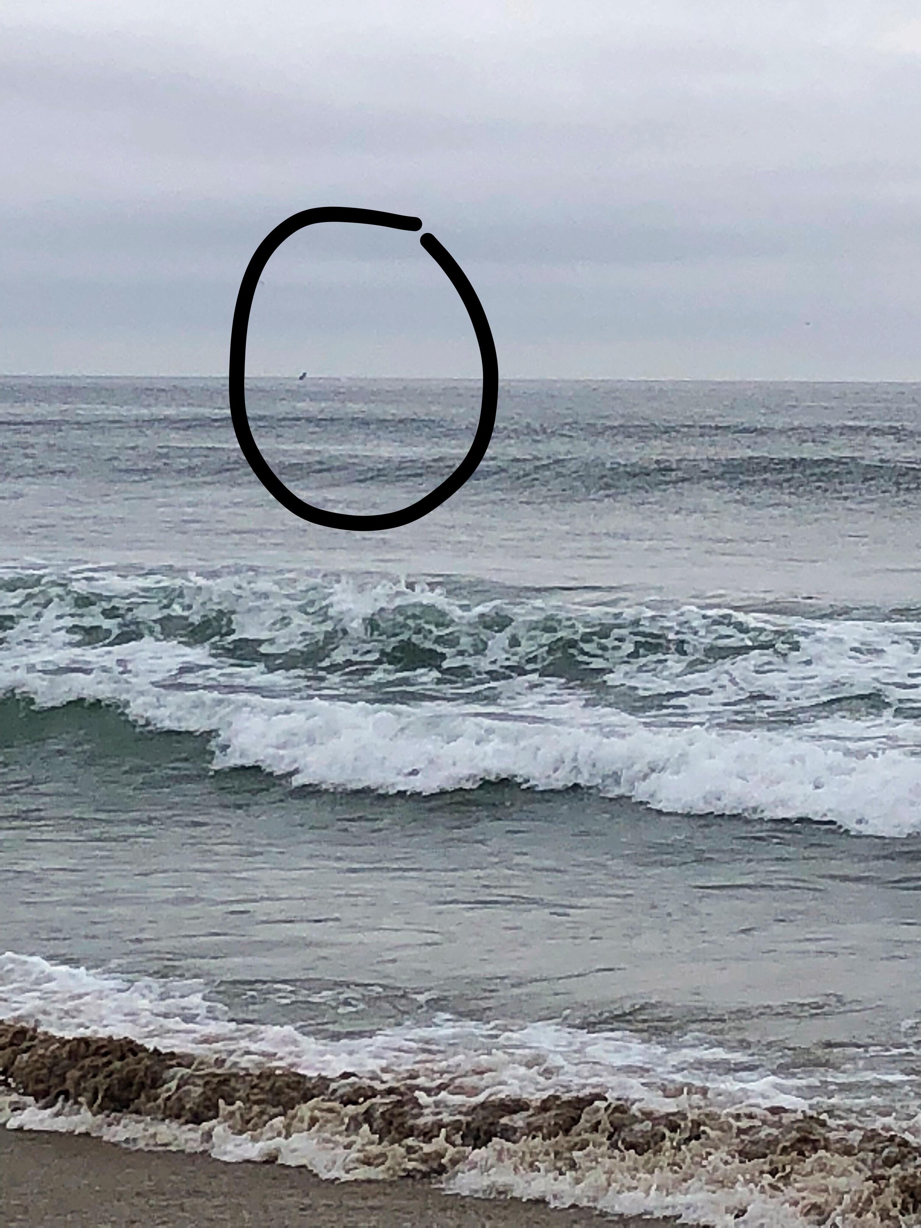 45704486_494710221023257_2841385066922246144_n