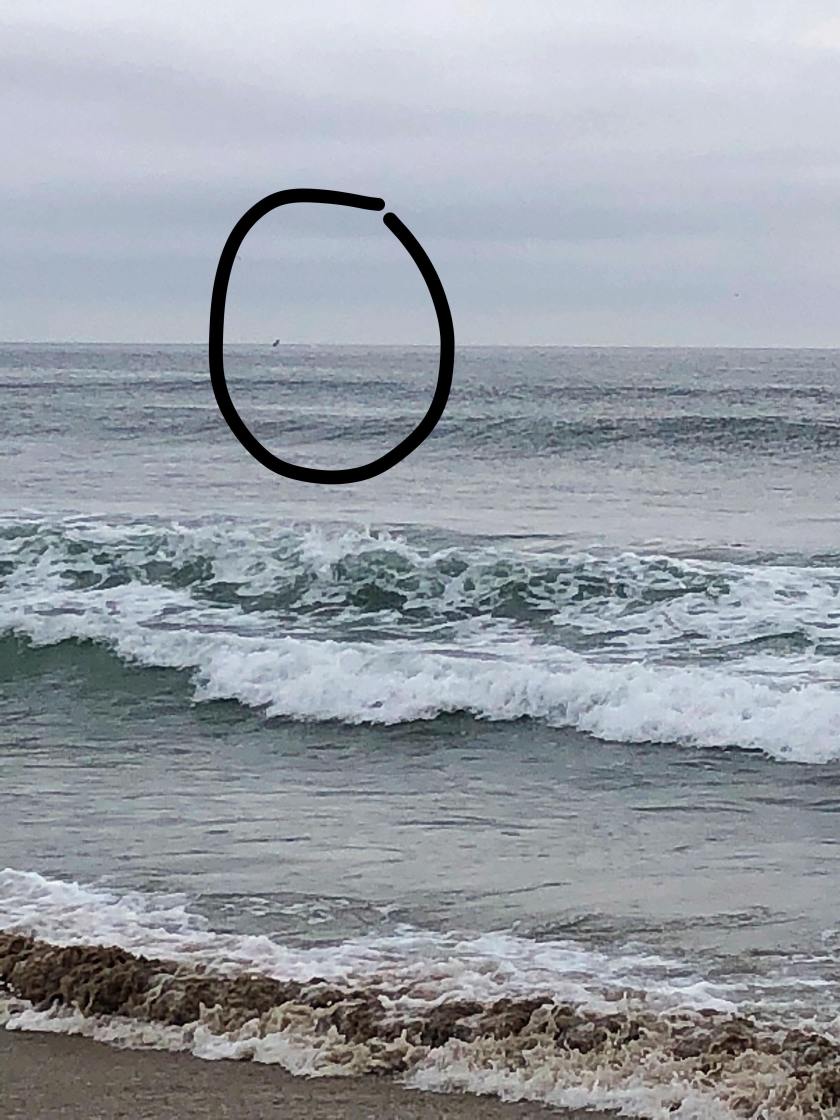 45704486_494710221023257_2841385066922246144_n