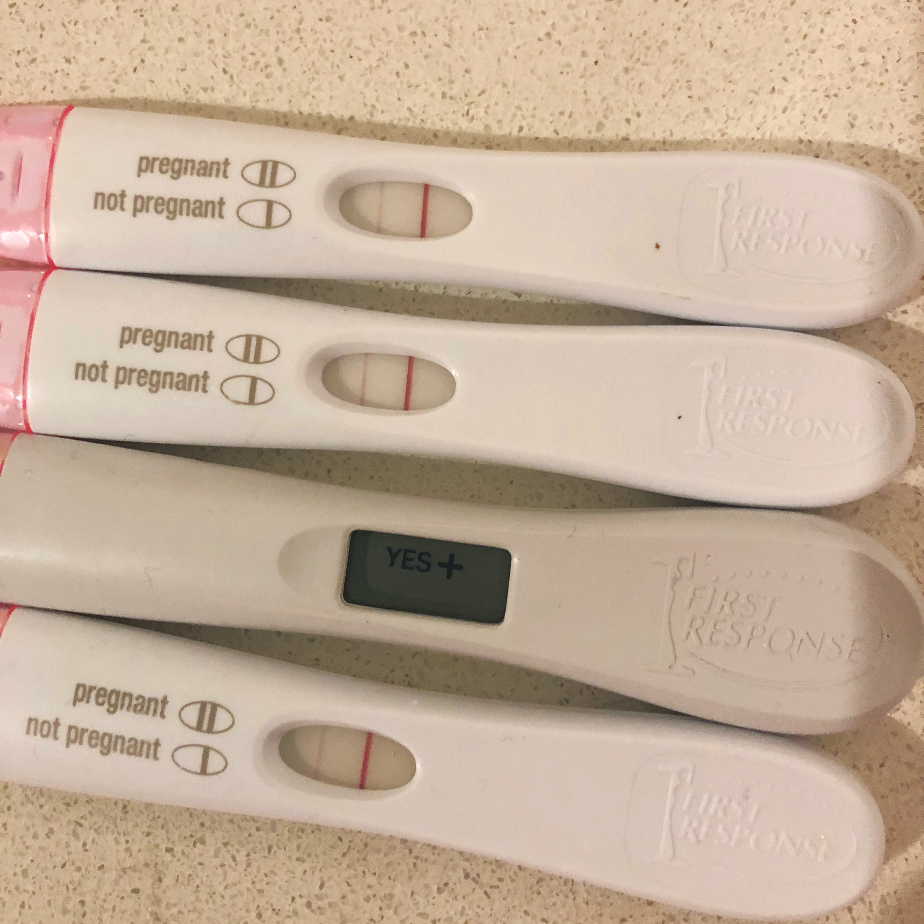 46766762_1198641646959418_5186034759217709056_n